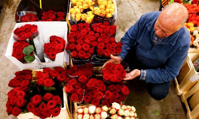 Флористы Барселоны требуют ограничить нелегальную торговлю розами на Сан-Жорди