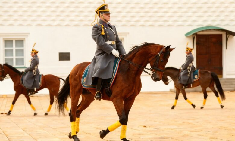 Лула да Силва поддержал запрет Испании на военные вылеты США против Ирана