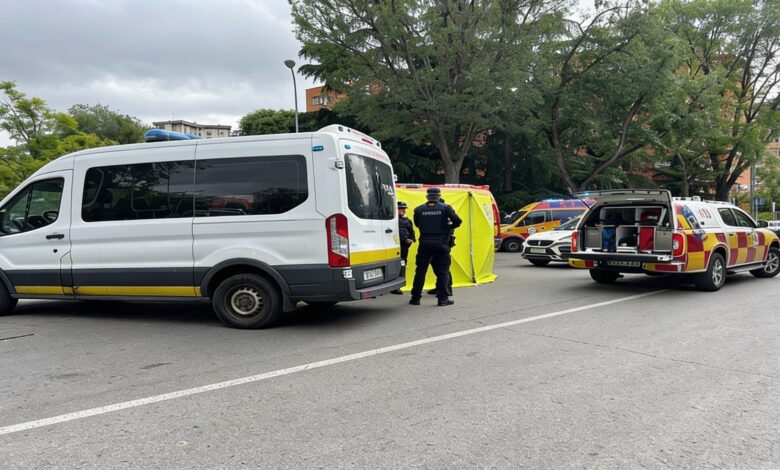 В Мадриде погибла 81-летняя женщина после наезда у пешеходного перехода