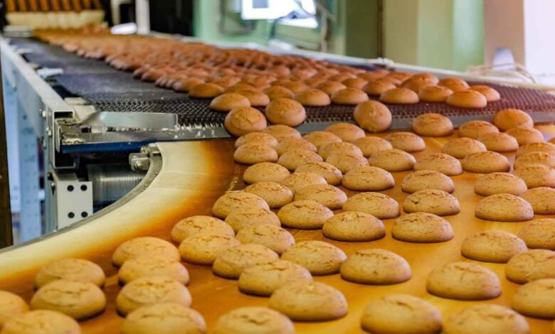 Real whole grain galletas to hit Spanish shelves in 2026 under new standards