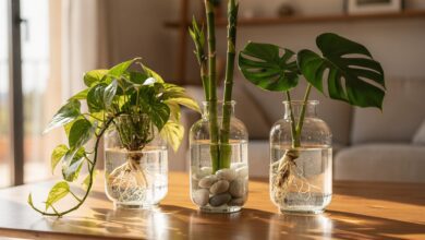 Три растения для воды: как добавить стиль и свежесть в интерьер без земли RUSSPAIN.COM