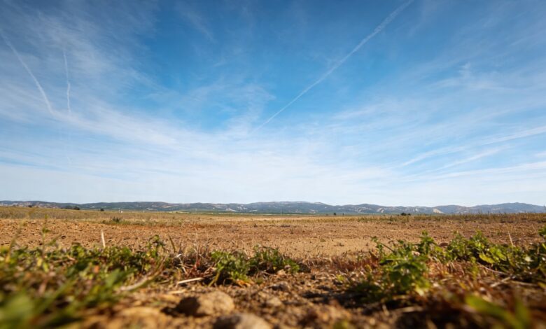 Власти не восстанавливают крупнейший испанский водно-болотный комплекс после рекордных дождей