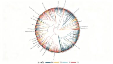 1700 языков под анализом: какие грамматические правила оказались универсальными RUSSPAIN.COM