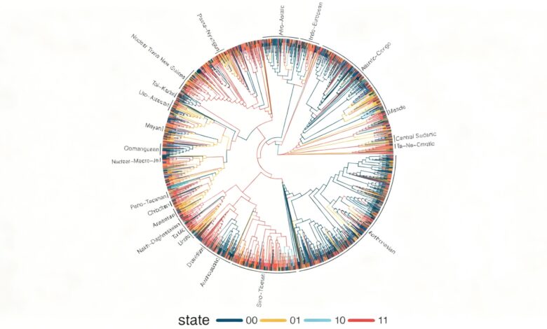 1700 языков под анализом: какие грамматические правила оказались универсальными