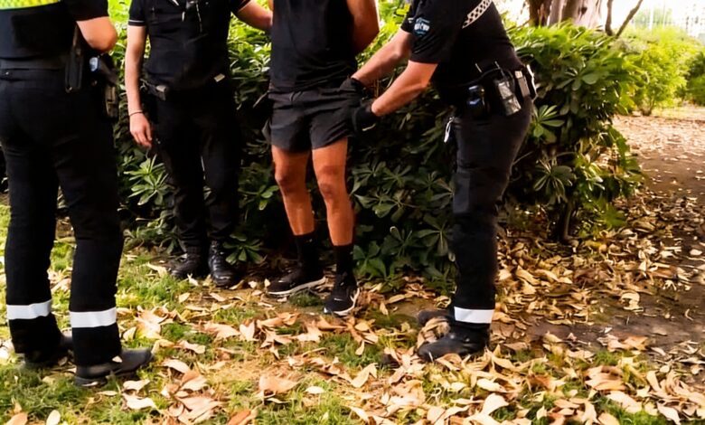 В Севилье задержан мужчина за подозрение в непристойных действиях в парке