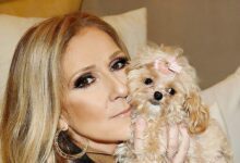 Céline Dion возвращается на сцену: 16 концертов в Париже и рекордный интерес RUSSPAIN.COM