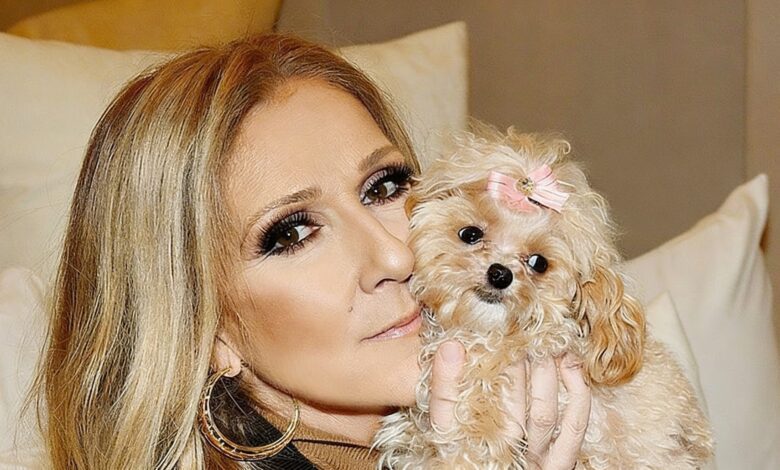 9 million ticket requests as Paris prepares for Céline Dion’s return