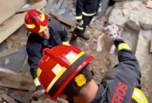 Два необычных спасения: в Мадриде освободили корзо и кота за сутки RUSSPAIN.COM