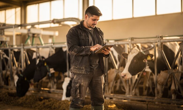 Молочные фермы Испании оказались на грани: закупочные цены сравнялись с расходами