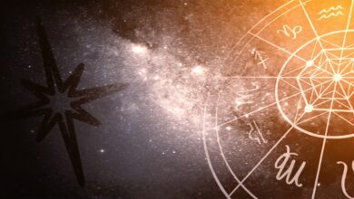 28 апреля: день