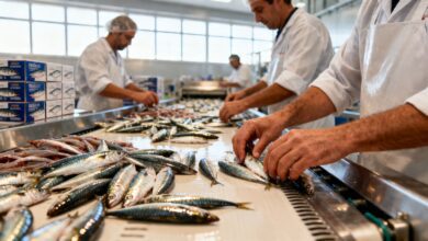 В Стране Басков запускают проект