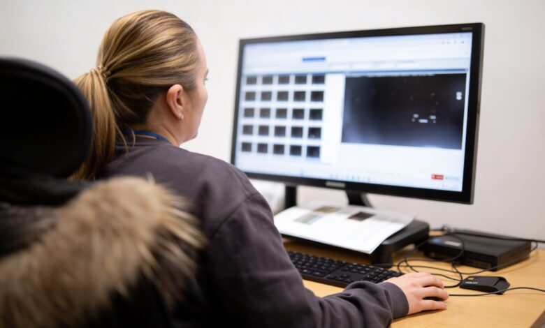 Как Испания справляется с миллионами штрафов: закулисье центра Estrada