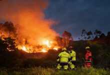 В Галисии стабилизировали крупные пожары: сгорело 750 гектаров леса RUSSPAIN.COM