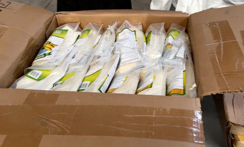 Secret cocaine extraction lab dismantled in Toledo Spain