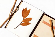 Пять листьев лавра из короны Фортуни нашли спустя 92 года в архиве MNAC RUSSPAIN.COM