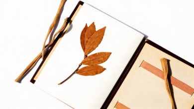 Пять листьев лавра из короны Фортуни нашли спустя 92 года в архиве MNAC RUSSPAIN.COM