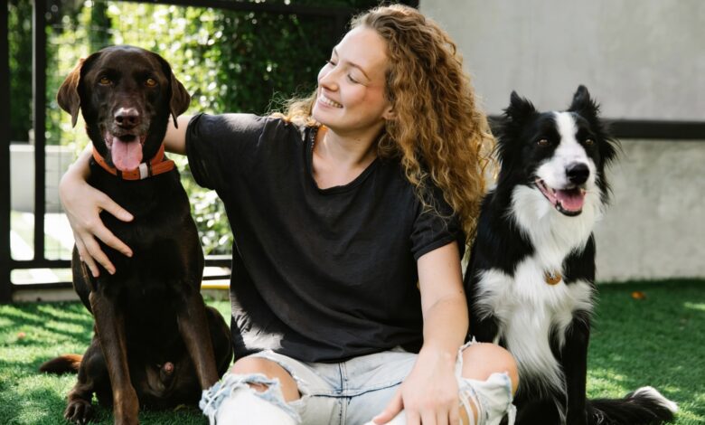 Как астрология помогает понять характер собаки: опыт владельцев в Испании