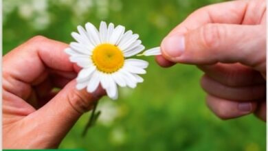 Выигрыш в La Primitiva: новые суммы и неожиданные победители по всей Испании RUSSPAIN.COM