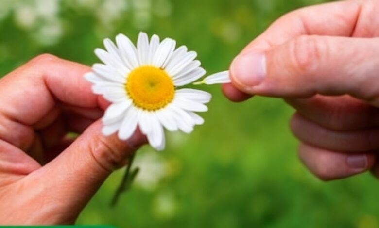 Выигрыш в La Primitiva: новые суммы и неожиданные победители по всей Испании