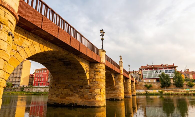 В центре Миранды де Эбро исчез бронзовый бюст Сервантеса — полиция ищет следы