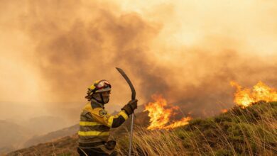 Жители Эль-Бьерсо боятся жаловаться на пожары: расследование против властей RUSSPAIN.COM