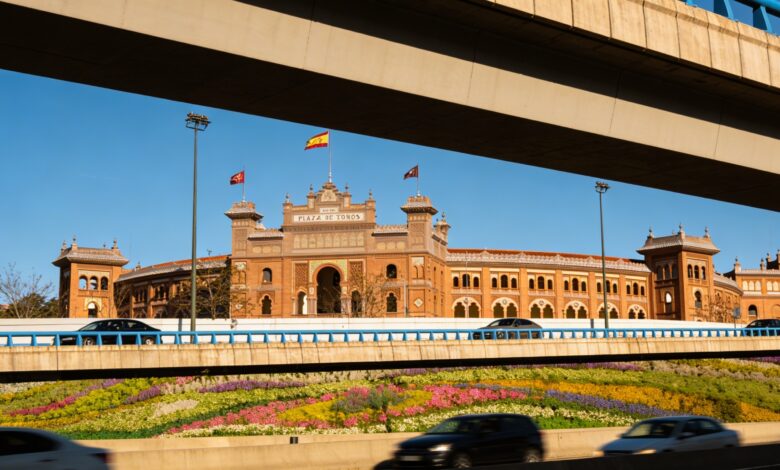 Мадрид тратит 6,2 млн евро на новые вертикальные сады вдоль М-30