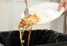 Multas de hasta 500000 euros España refuerza la lucha contra los desechos alimentarios