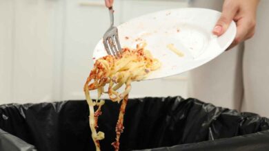 Штрафы до 500 000 евро: Испания ужесточила борьбу с пищевыми отходами RUSSPAIN.COM