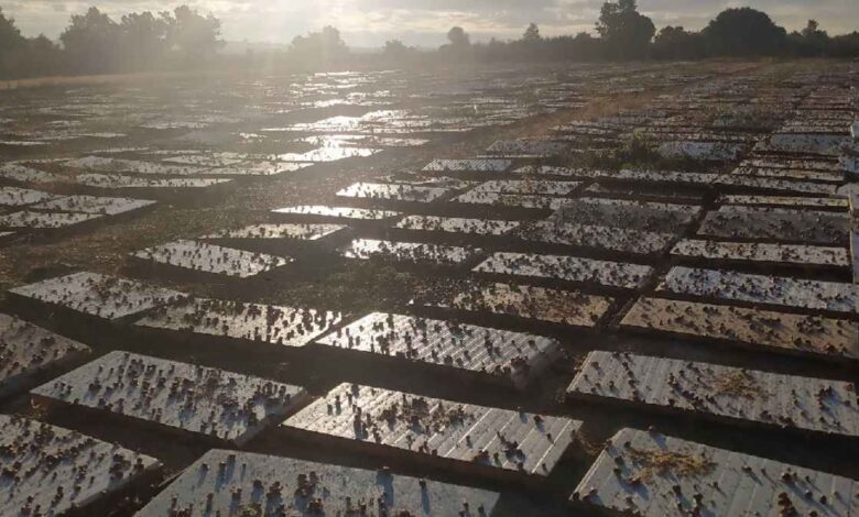 Cómo Fonfría se convirtió en un punto gastronómico en el mapa de España