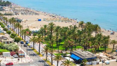 Пляж Лос-Аламос в Торремолиносе закрыли для купания: что скрывают новые анализы воды RUSSPAIN.COM