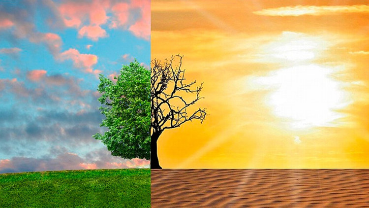 Точка невозврата. Глобальная климатическая катастрофа неизбежна