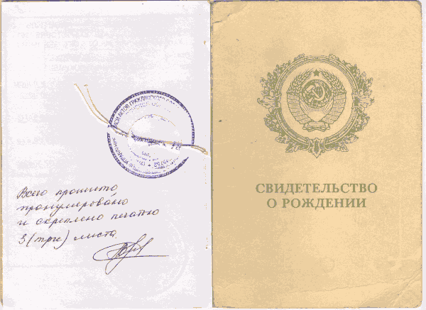 Cвидетельство о рождении, образец 2