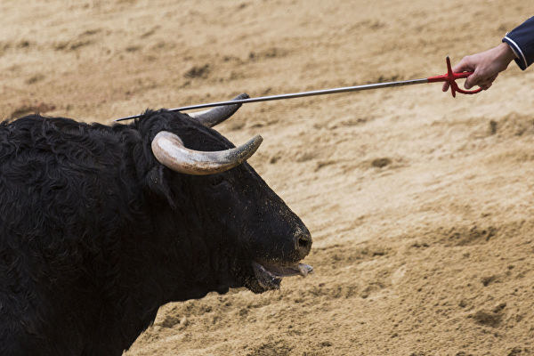 В Эстремадуре мужчина получил серьезные ранения во время забега с быками