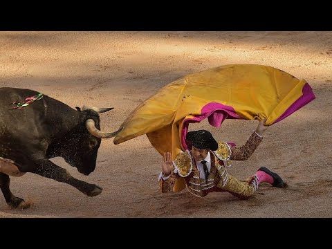 В ходе забегов с быками в Испании пострадали уже 15 человек