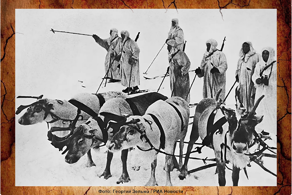 Животные на войне. Олени / Пётр Свирин: "Удивил!"