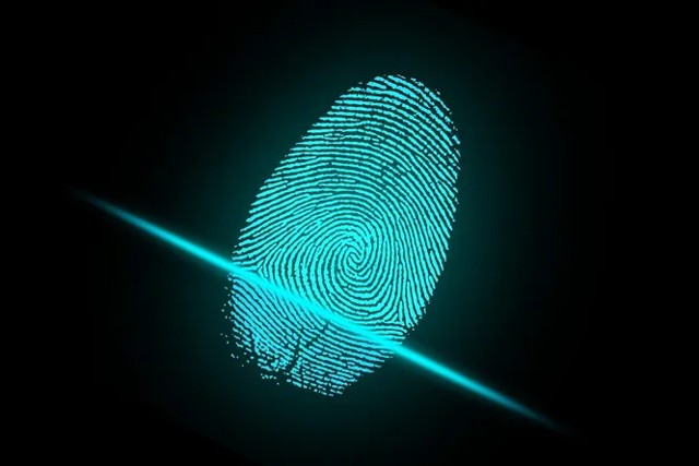 Отпечаток пальца