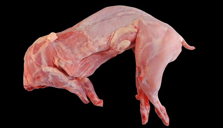 Мясо кролика / крольчатина