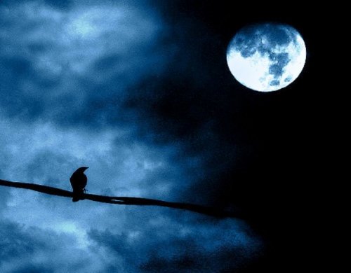 Мифы и факты про тайны полнолуния, уже сегодня, 27 декабря