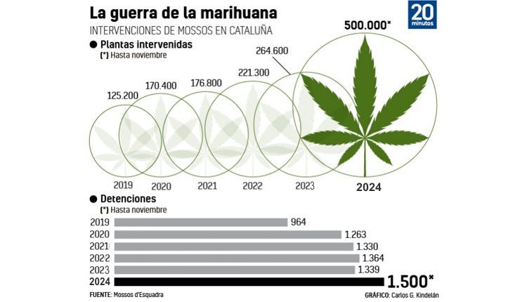 СМИ: Испания превращается в крупнейшего производителя марихуаны
