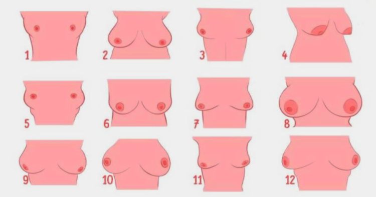 Испанская теория о связи формы женской груди с личностью «стерномантия» (esternomancia) с 18 века и поныне развивается