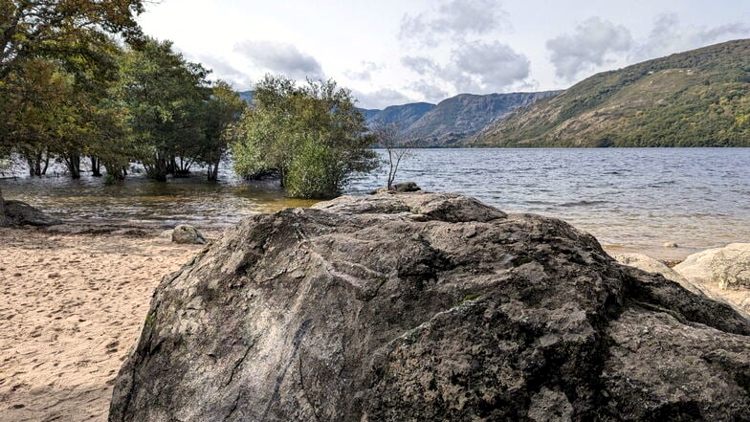 Большая вечерняя история любителям природы Испании: иберийский волк