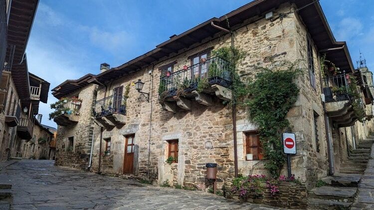 Большая вечерняя история любителям природы Испании: иберийский волк