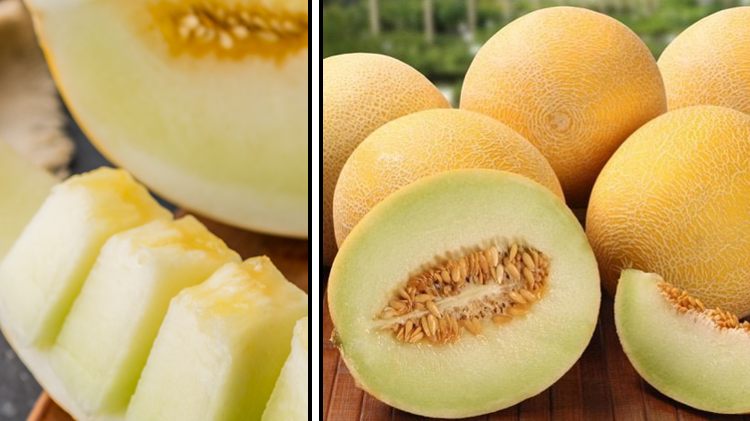 Пестициды в дынях из Марокко, импортируемых в Испанию