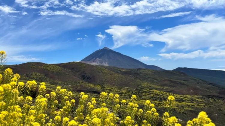 С июня 2017 года на Тенерифе наблюдается рост микросейсмичности