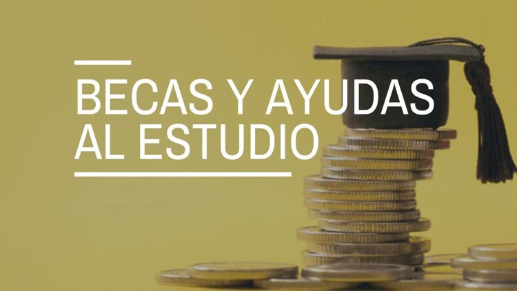 Стипендии и гранты на обучение В Испании 2024-2025. Иммигранты имеют право