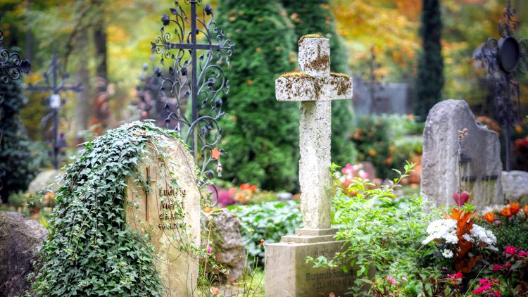 В Испании всё более заметно проявляется демографический феномен старения населения