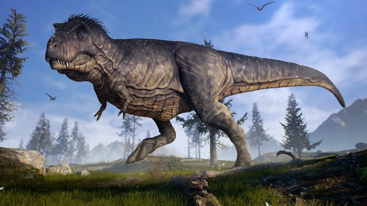 Климат и природа: новое открытие испанских учёных — палеонтологов