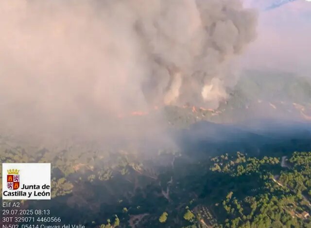 Крупный лесной пожар в провинции Авила: усиленные меры и трагические последствия