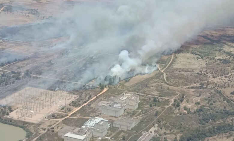 В Эстремадуре ищут поджигателя после масштабного лесного пожара в Бадахосе