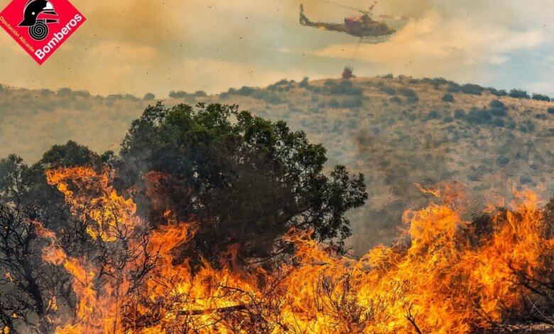 Испанию охватили лесные пожары: эвакуация и борьба с огнем продолжаются